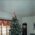 Christmas Tree 5015 125th St Hugo 