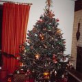 Christmas Tree Sumac Ridge 1986