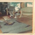 Baby Deer in Big House 1960s