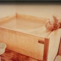 Belva soaking in Japanese hot tub in Japan