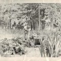 Belva 4th Ave GR garden