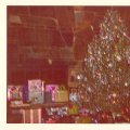 Christmas Tree - Lake Jaques - 1973
