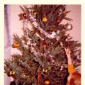 Christmas 1973 - Maplewood
