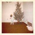 Jason - Christmas Tree - 1974 - Taken by Marilyn Corson