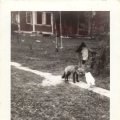Belva Nelsons pet fox