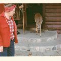 Millie Nelson and Baby Deer at Nelsons Resort Store 1965