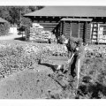 Millie in her garden - mid seventies