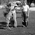 Millie and Baby Deer