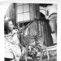 Jean Parvi with baby deer