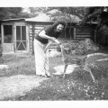 Jean Parvi with baby deer