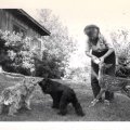 Millie and Baby Deer with Toby and Sandy