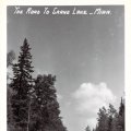 The road to Crane Lake
