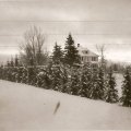 Block Homestead - Buyck