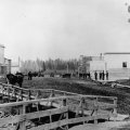 Cook, MN - 1905