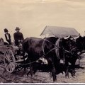 Crane Lake Portage 1911