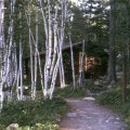 Crows Nest 1966