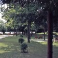 Front Lawn 1966