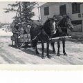 Gary and Bea Mau abt 1948. Maus had Sandpoint Cabins on Little Vermillion