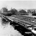 Alligators on Little Johnson, Namakan and Hoist Bay circa 1915-1925
