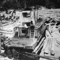 Alligators on Little Johnson, Namakan and Hoist Bay circa 1915-1925