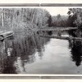 Raft of timber - circa 1930s