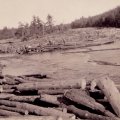 Logs at Lady Rapids, early 1900s