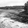 Logs Going Through Kettle Falls