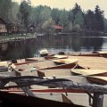 Main Dock with Guide Boats
