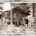 Munn Cabin