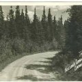 The road to Nelsons Crane Lake Cabins