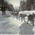Oliver Knox and Dog Team 1932
