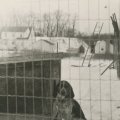 Buster I