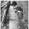 Gretchen Bolz and John Bolz Colorado 1954