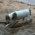 Crane Lake July 2012 063