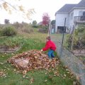 Jordan and Rosie in Leaves