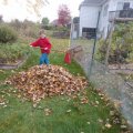 Jordan and Rosie in Leaves1