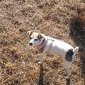 Rosie Oct 2012