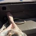 Rosie Relaxing in the Boat