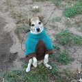Rosie Sitting with Jacket