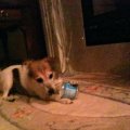 Rosie Taking Cap off Water Bottle