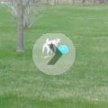 Rosie Playing Soccer May 2014