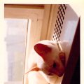 2018_12_03_19_38_50